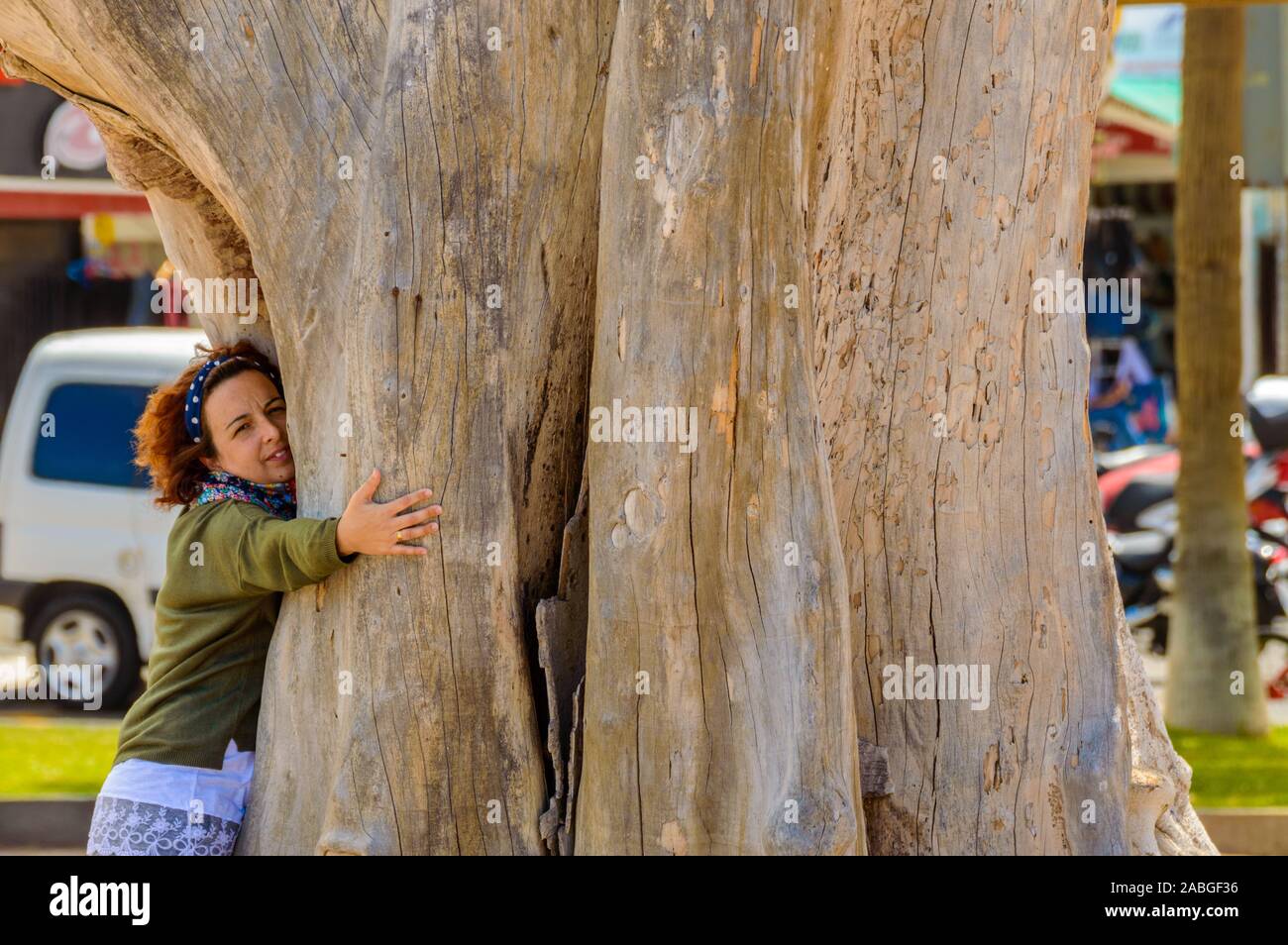 Schöne junge rothaarige Frau mit Curly kurze Haare ein Drago Baum an der Promenade am Strand von Las Americas. April 11, 2019. Santa Cruz De Te Stockfoto