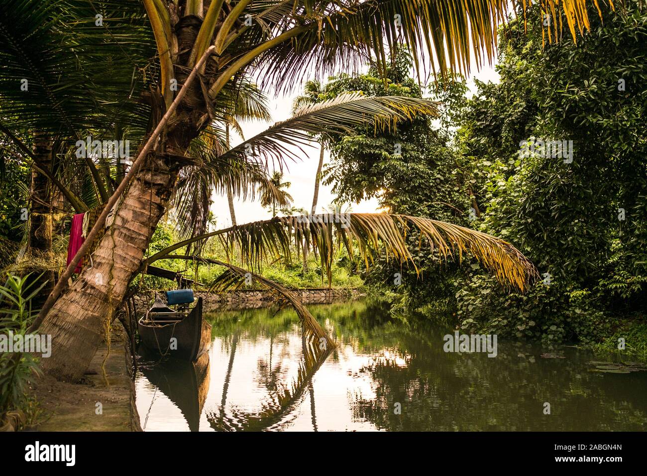 Fischerboot in Kerala backwaters Dorf Marsh bei Sonnenuntergang in Wasser Kanal unter Palmen, einem unberührten natürlichen Umgebung während der Monsunzeit Stockfoto