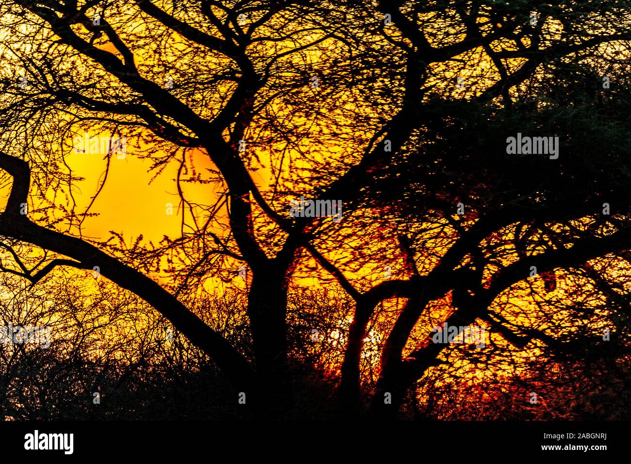 Sonnenuntergang in Namibia, Afrika Stockfoto