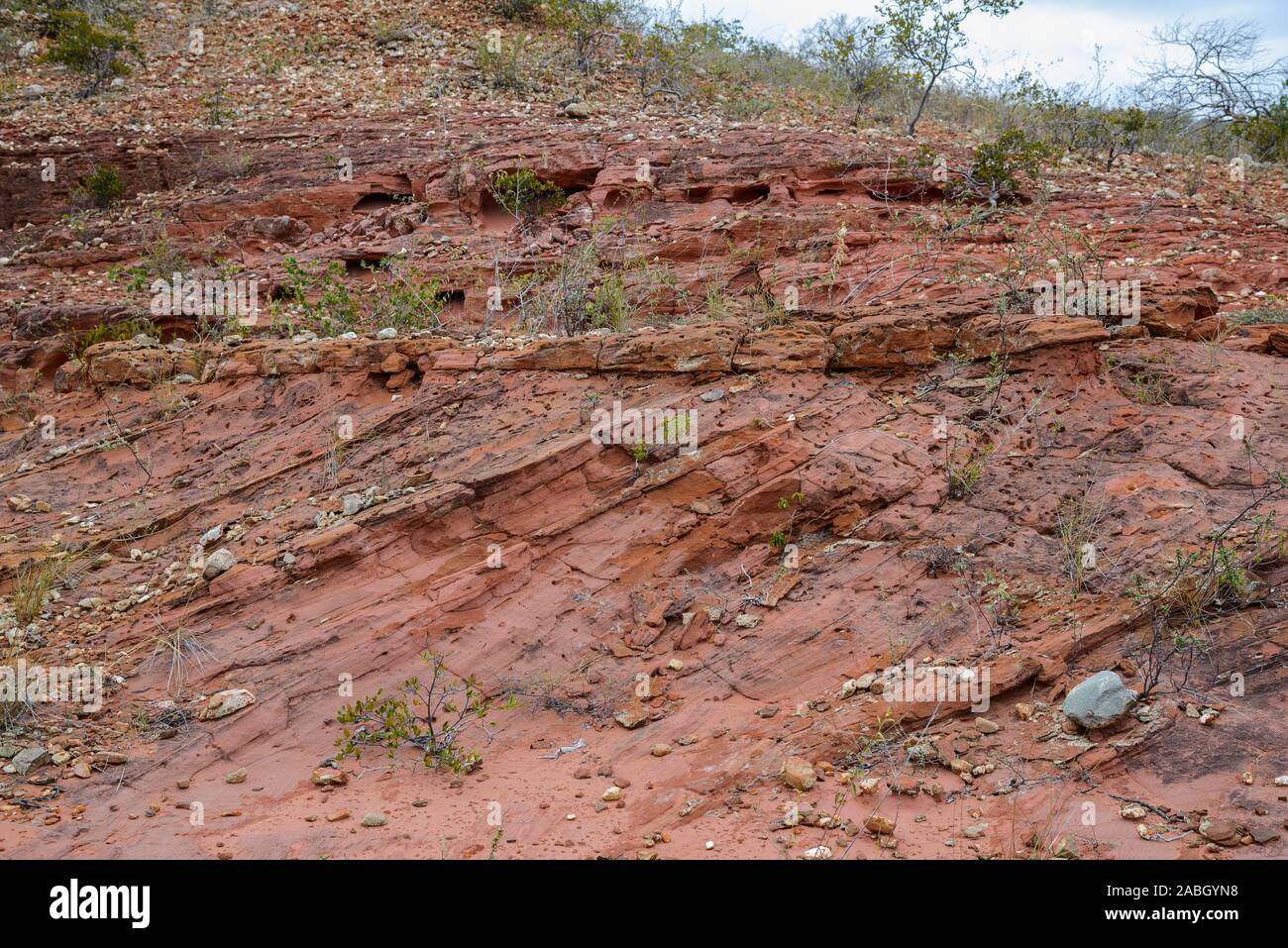 Mega-Betten in den roten Sandstein wurde in einem riesigen Fluss im Präkambrium Zeit hinterlegt. NE Canudos, Bahia, Brasilien, Südamerika. Stockfoto