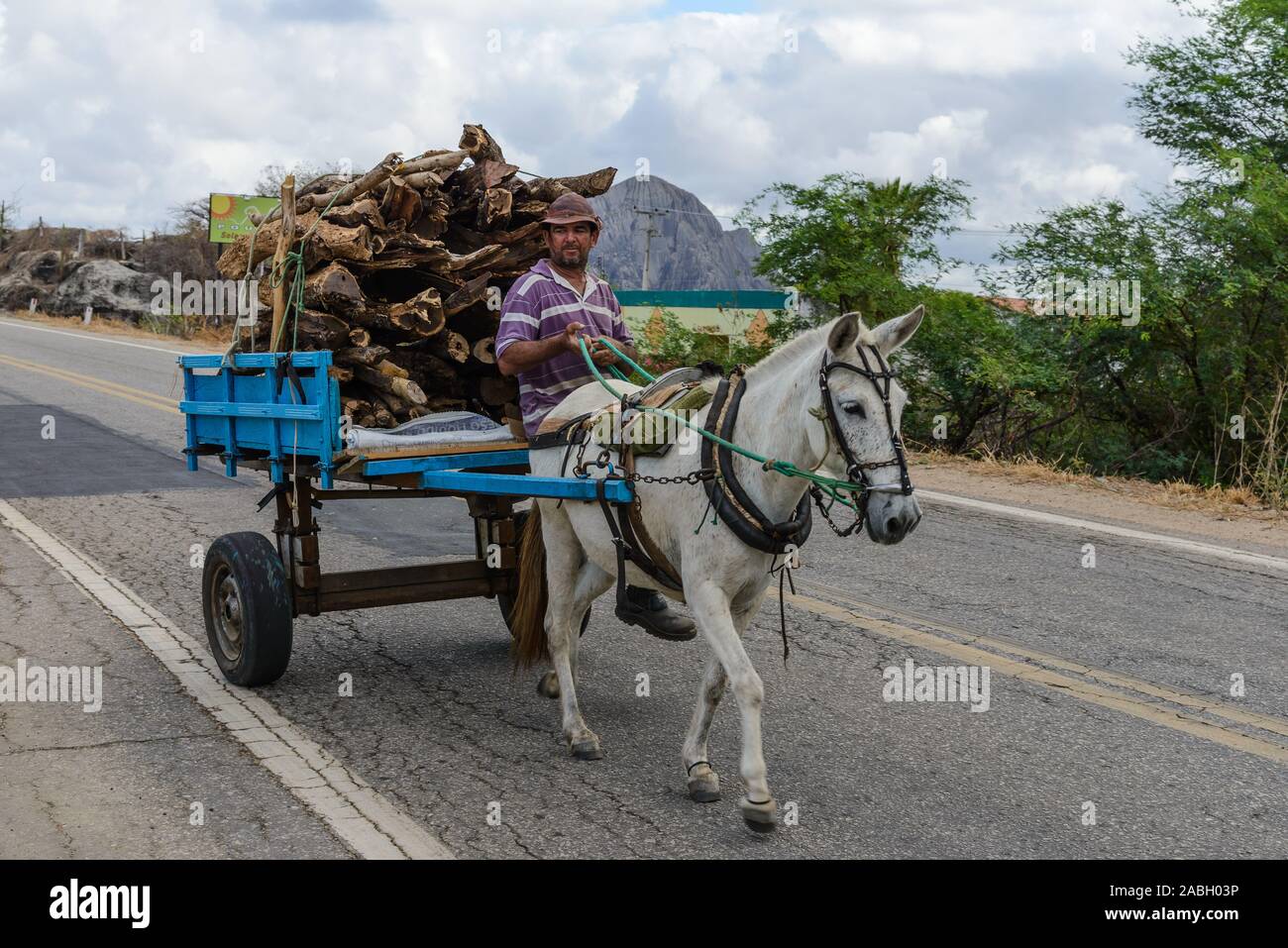 Ein Mann reitet auf einem Pferd gezogen Warenkorb mit Brennholz geladen. Quixada, Ceara, Brasilien, Südamerika. Stockfoto