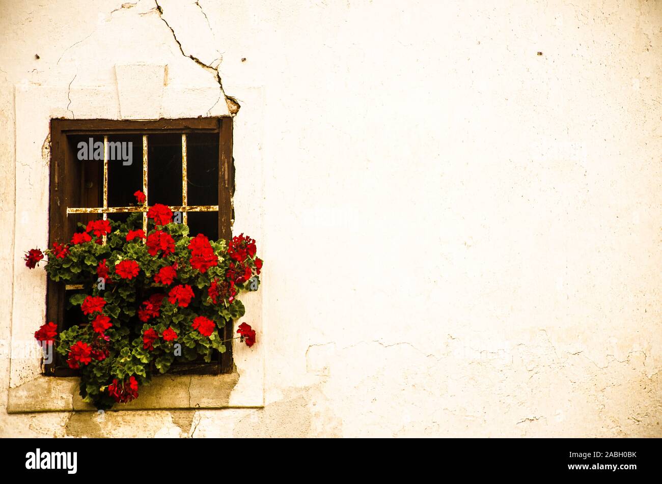 Rote Blumen Fenster und die alte Mauer Stockfoto