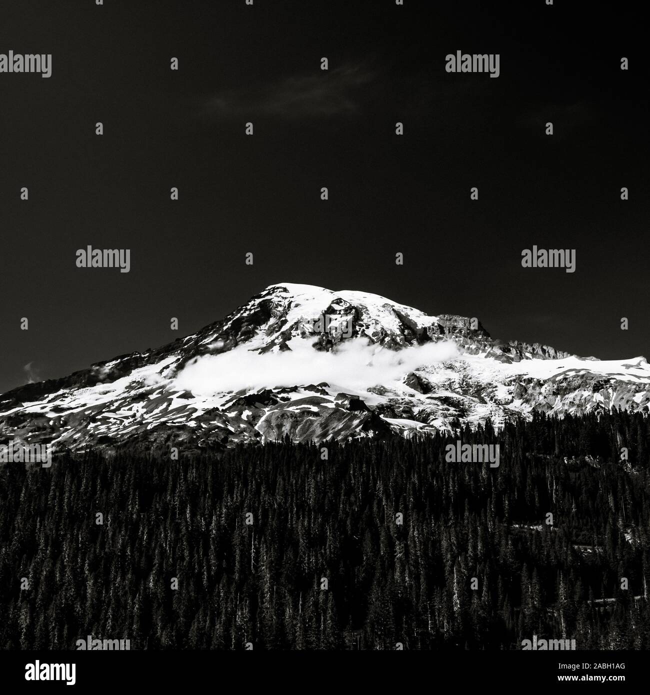 Hoher Kontrast von Mount Rainier auf klaren Himmel Tag Stockfoto