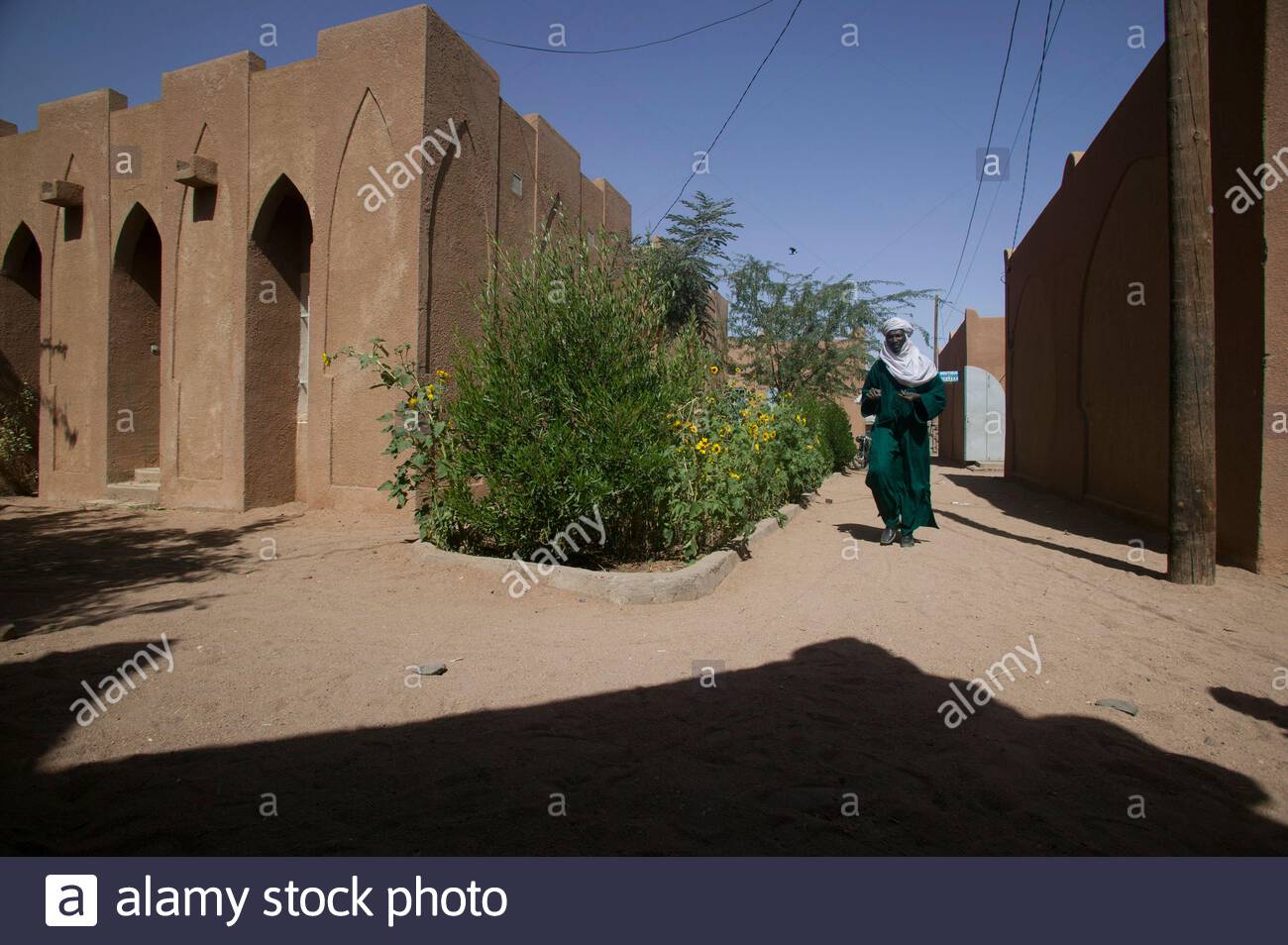 Arabianeye Stockfotos Und Bilder Arabianeye Stock Fotografie