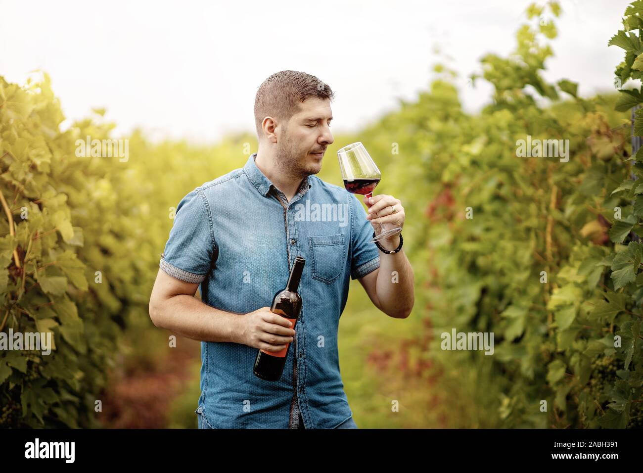 Porträt eines Mannes mit Weinprobe in einem Weingut. Geschossen von einem stattlichen reifer Mann Weinproben außerhalb in einem Weinberg Stockfoto