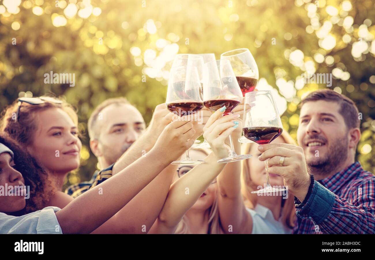 Junge multi-ethnischen Freunde Spaß haben in einem Weinberg Tour - Outdoar Hand Toasten Rotwein vor dem Sonnenuntergang im Herbst während der Erntezeit Stockfoto