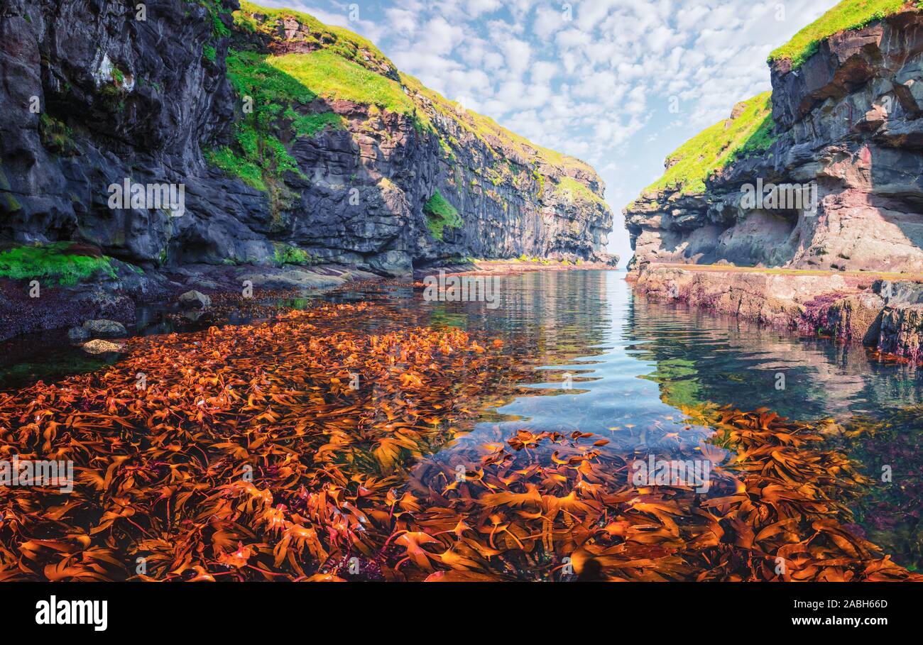 Schönen blick auf Dock oder den Hafen mit klarem Wasser und roten Algen in Gjogv Dorf, Eysuroy Island, Färöer, Dänemark. Landschaftsfotografie Stockfoto