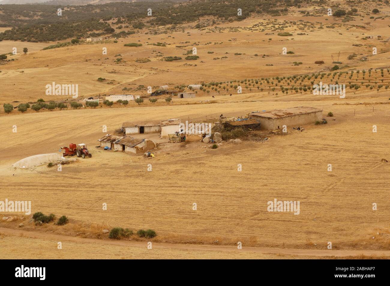 Bauernhof in Kenitra Region. Marokko Stockfoto