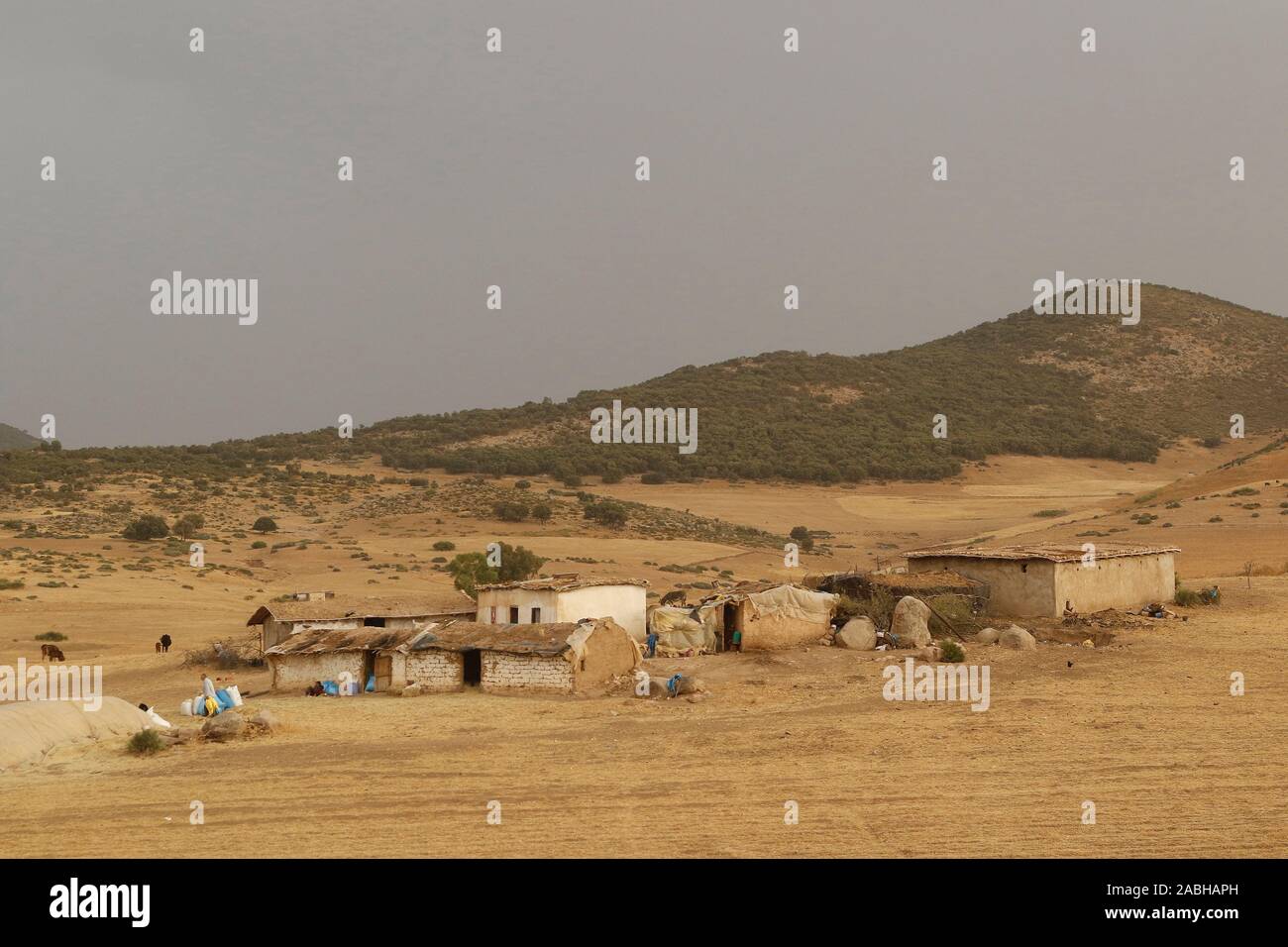 Marokko Bauernhof in Kenitra Region. Marokko Stockfoto