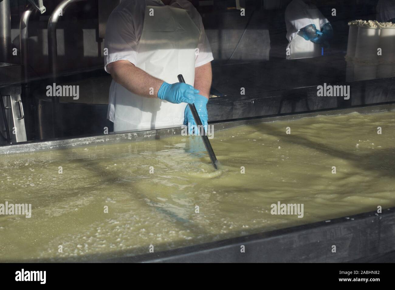 Ein Mann Käse auf der Beecher handgemachte Käse in Pike Place Market, Seattle, Washington, USA. Stockfoto