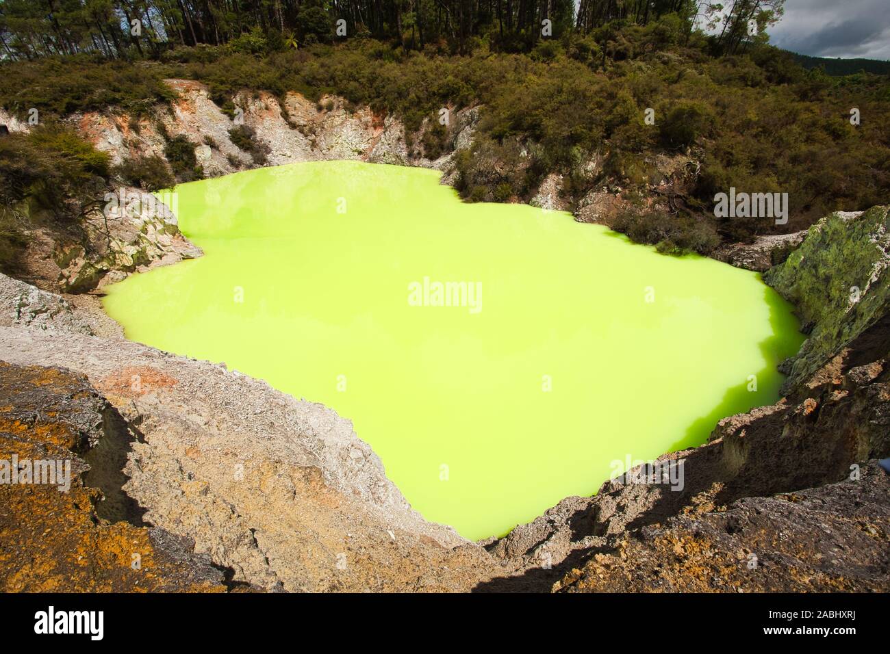 Die grünen Teufel Badewanne Pool im Wai-O-Tapu geothermische Gebiet in der Nähe von Rotorua, Neuseeland Stockfoto