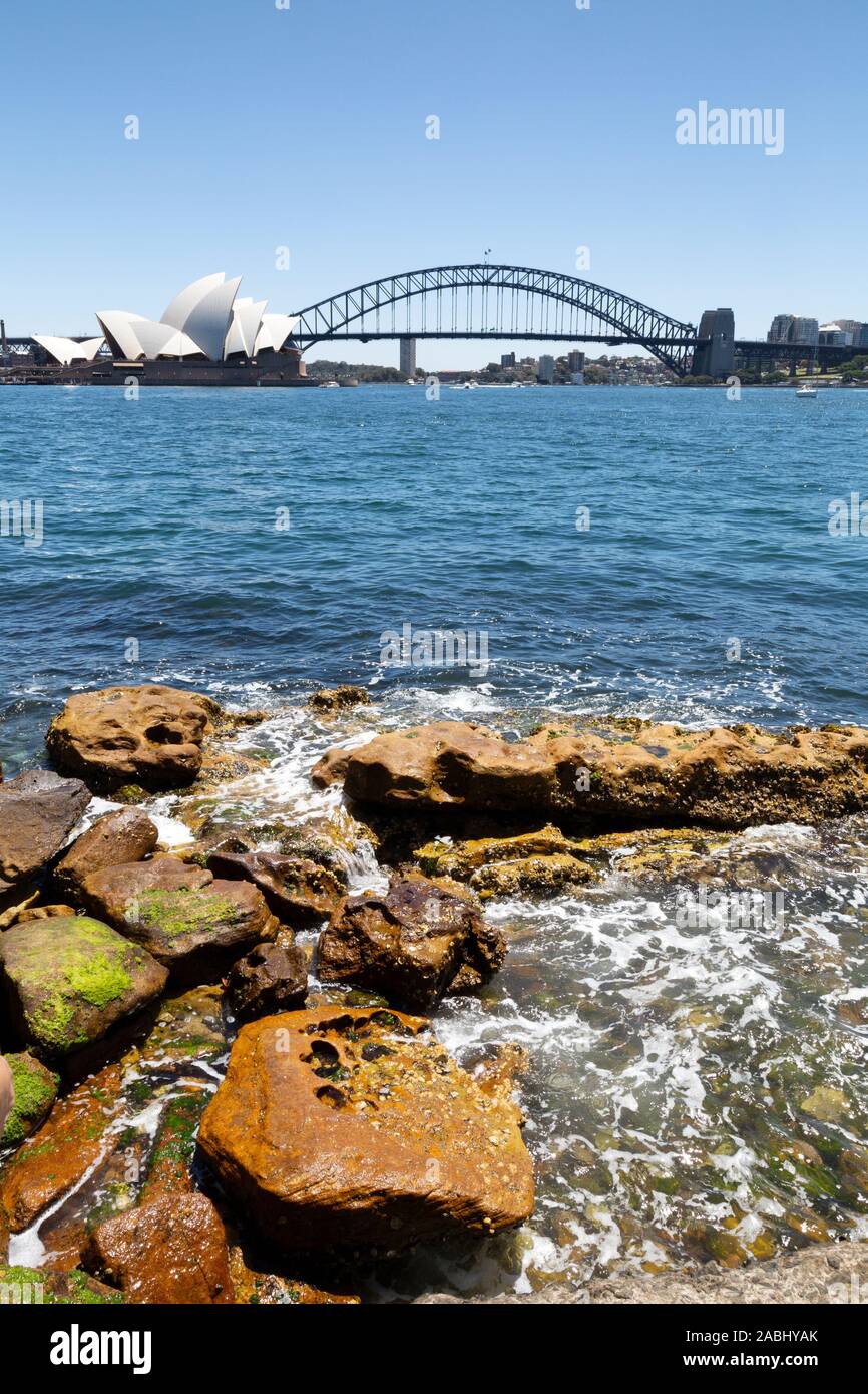 Hafen von Sydney, Sydney Opera House und der Sydney Harbour Bridge, von den Königlichen Botanischen Gärten gesehen, Sydney Australien an einem sonnigen Frühlingstag im November Stockfoto