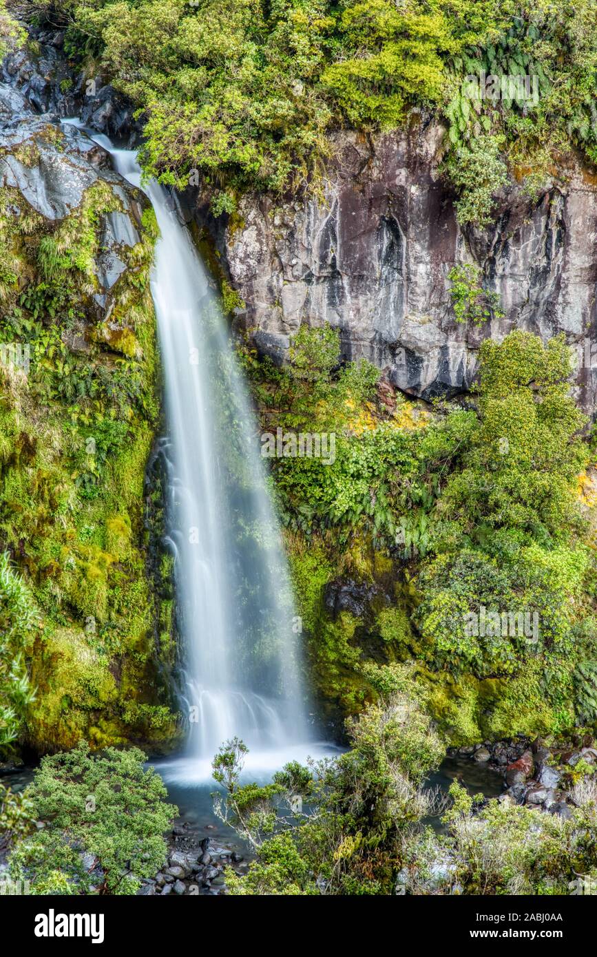 Schöne Dawson fällt in Egmont National Park, Neuseeland Stockfoto