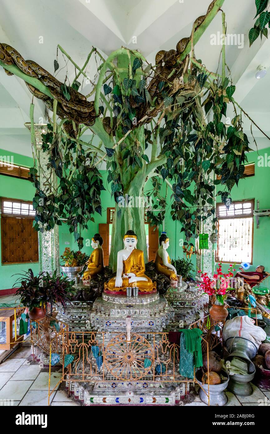Die Mwe Paya Schlange Pagode, Dalah, in der Nähe von Yangon, Myanmar. Stockfoto