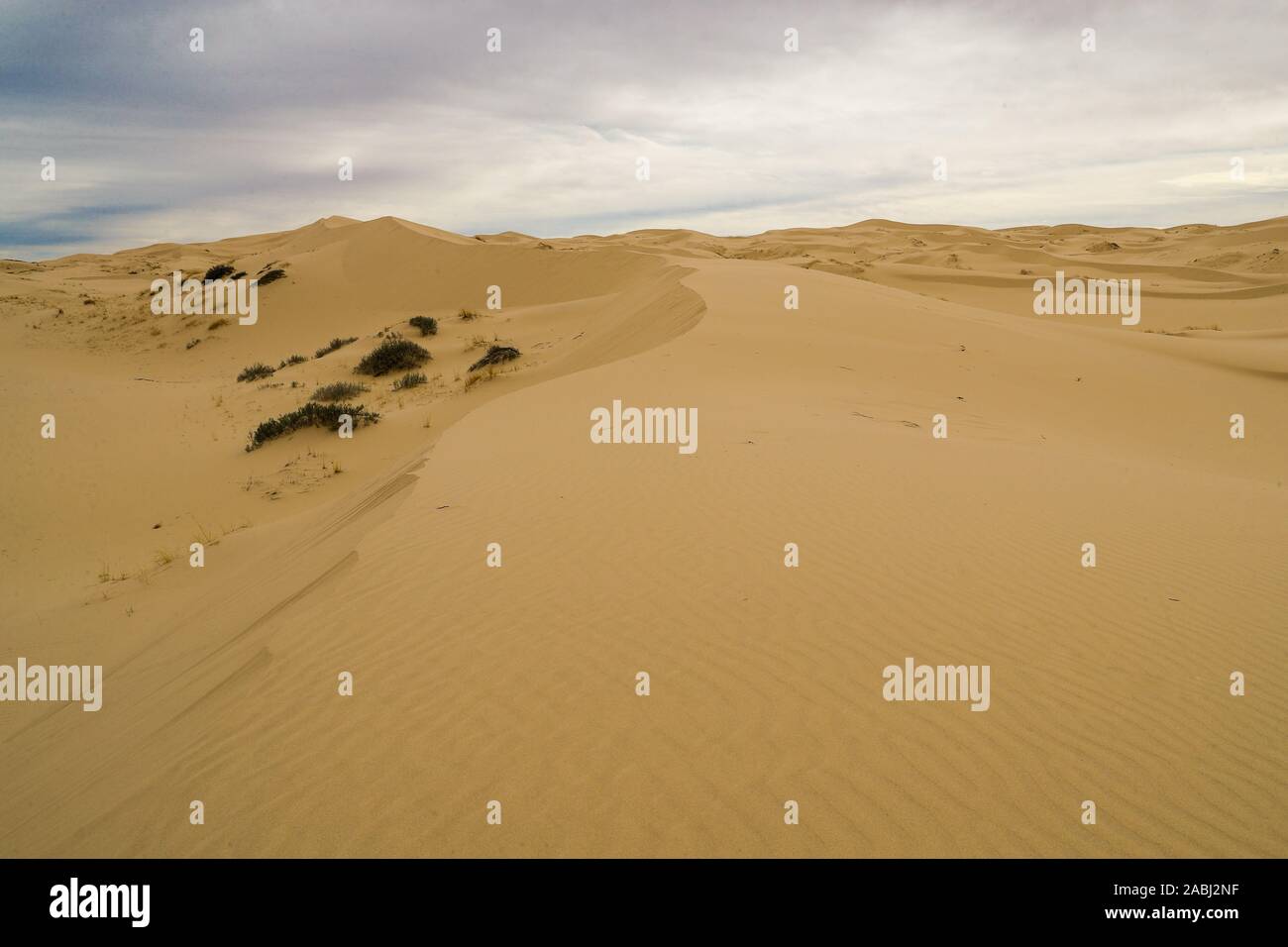 Sanddünen der Wüste Samalayuca, Chihuahua Mexiko. 52 km südlich von Ciudad Juárez in der Mitte der Wüste, bekannt als die Médanos de Samalayuc Stockfoto