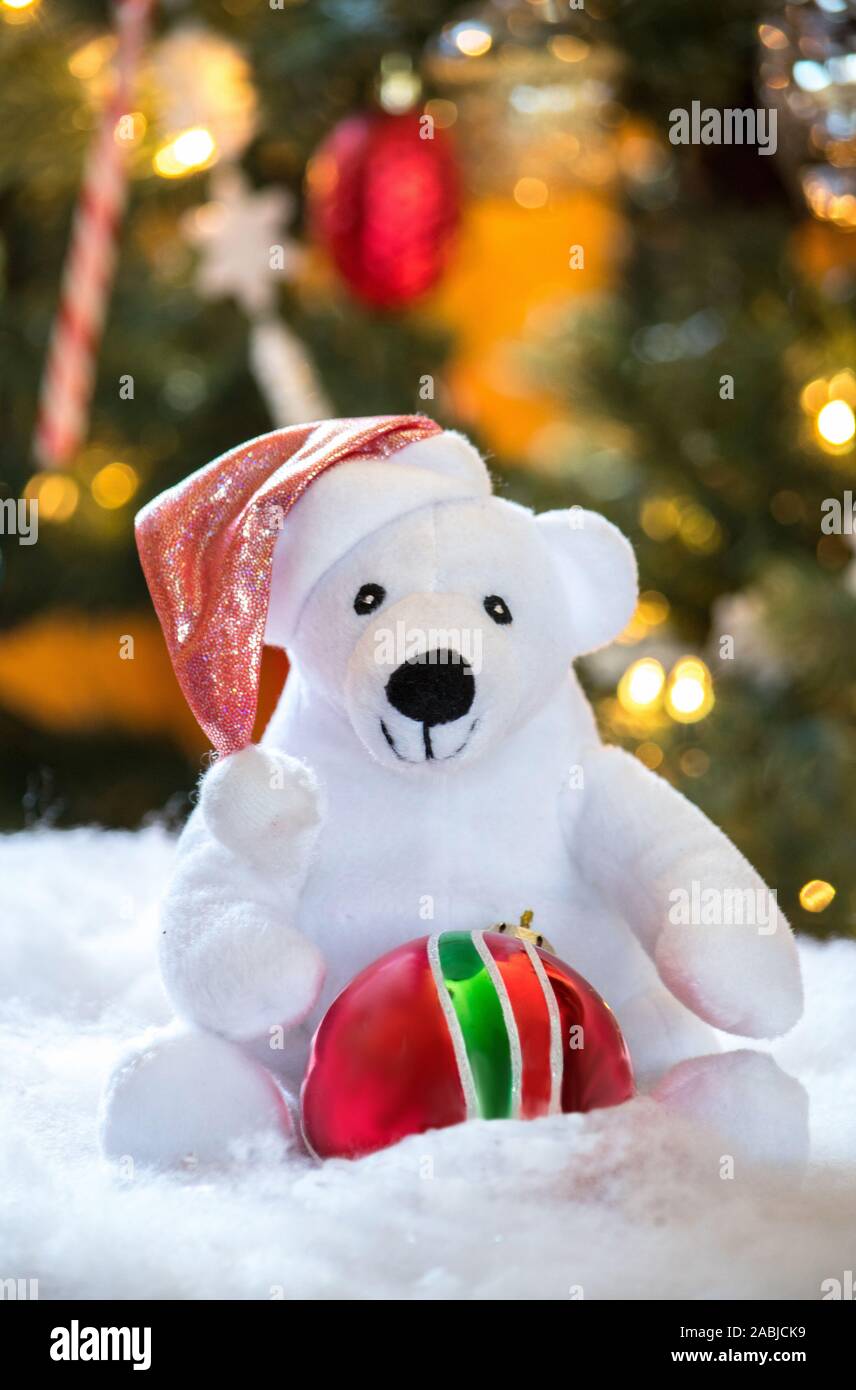 Eine kleine weiße Eisbär trägt eine rote Weihnachtsmütze und hält eine glänzende rote und grüne Verzierung Stockfoto