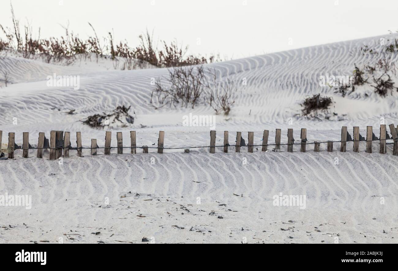 Sanddünen und ein teilweise begraben sand Zaun an der Atlantischen Küste von Assateague Island, Maryland, USA. Assateague Island National Seashore. Stockfoto