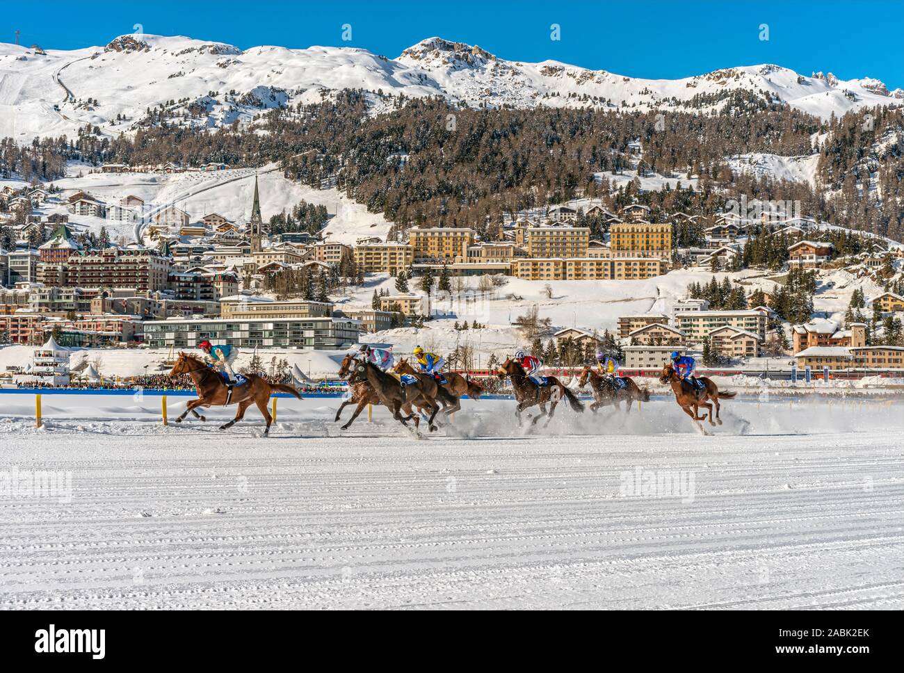 White Turf Pferderennen vor St. Moritz Dorf, Schweiz Stockfoto
