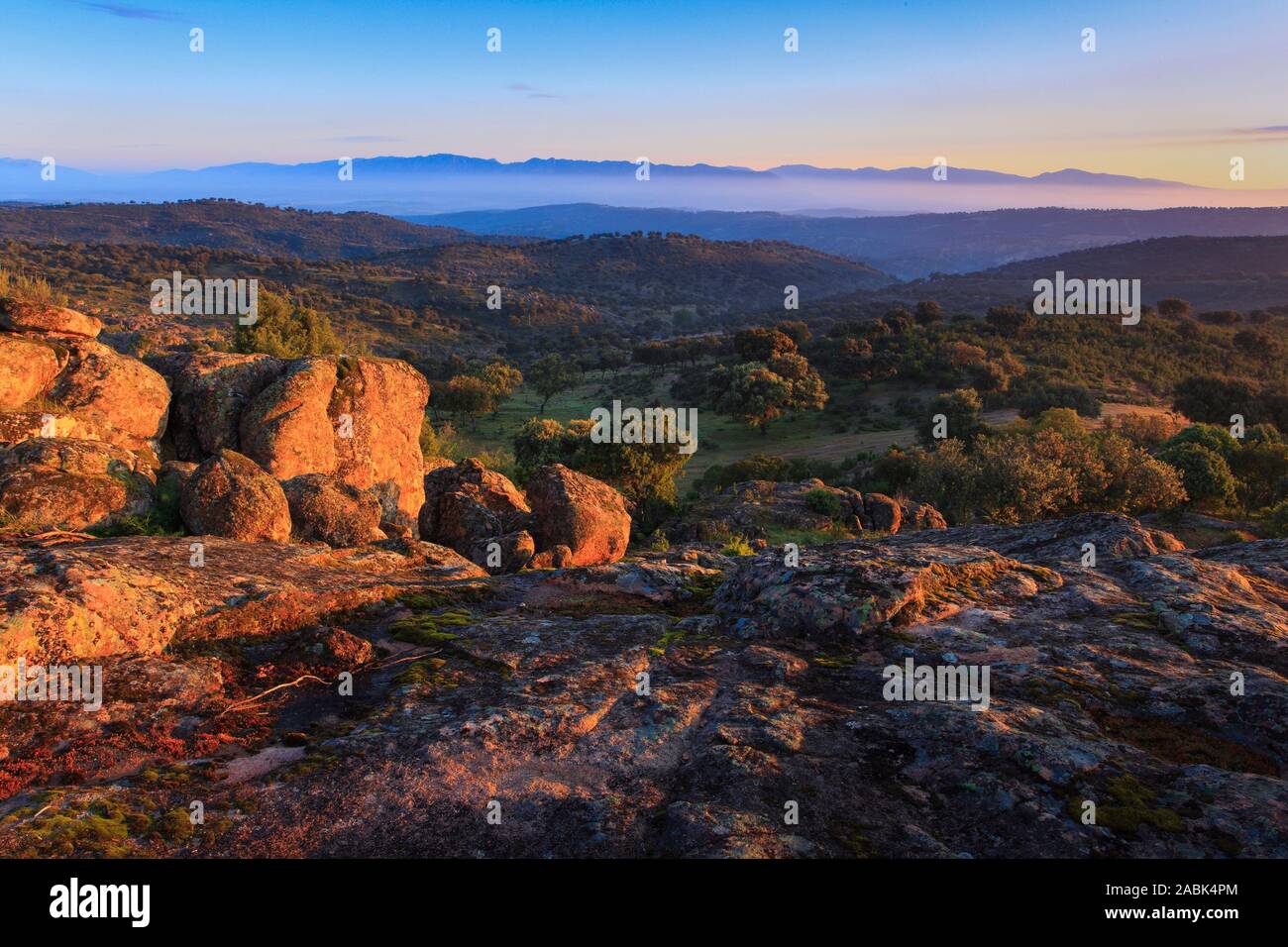 Typische Landschaft in der Sierra de Andujar Nationalpark, Provinz Jaen, Andalusien, Spanien bei Sonnenaufgang, hier lebt die seltene iberische Luchs Stockfoto