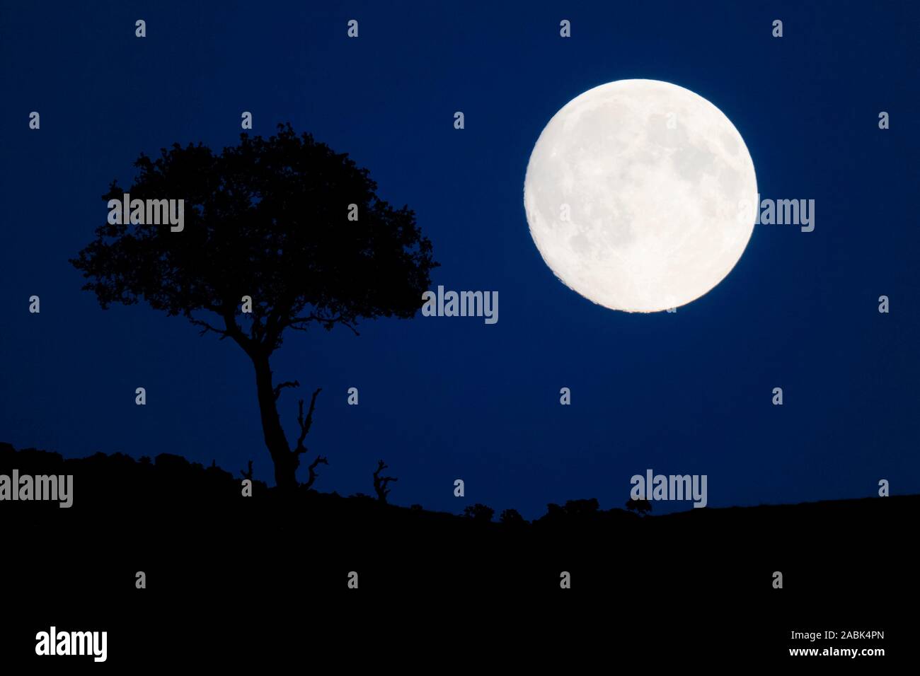 Vollmond über Schottland, Großbritannien Stockfoto