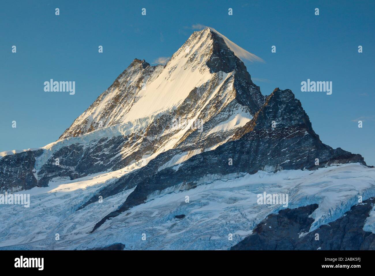 Schweizer Alpen. Der Berg Schreckhorn (4078 m). Berner Alpen, Schweiz Stockfoto