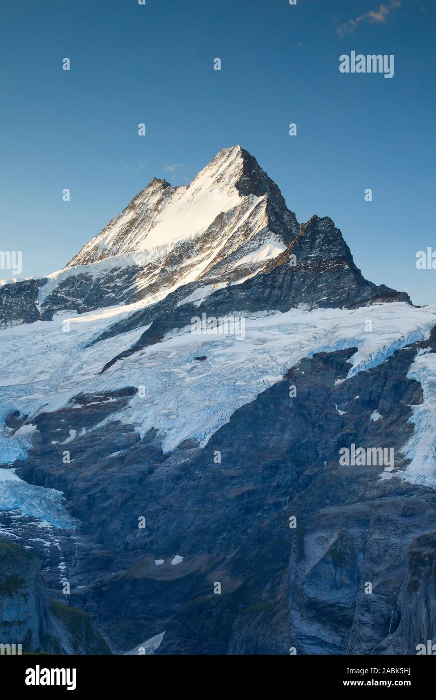 Schweizer Alpen. Der Berg Schreckhorn (4078 m). Berner Alpen, Schweiz Stockfoto
