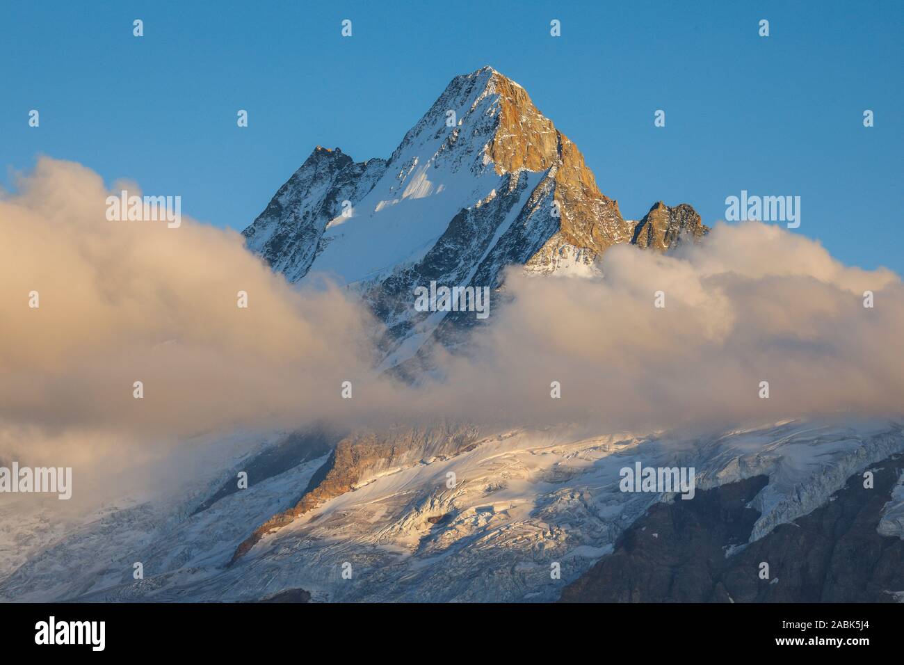 Schweizer Alpen. Der Berg Schreckhorn (4078 m). Berner Alpen, Schweiz Stockfoto