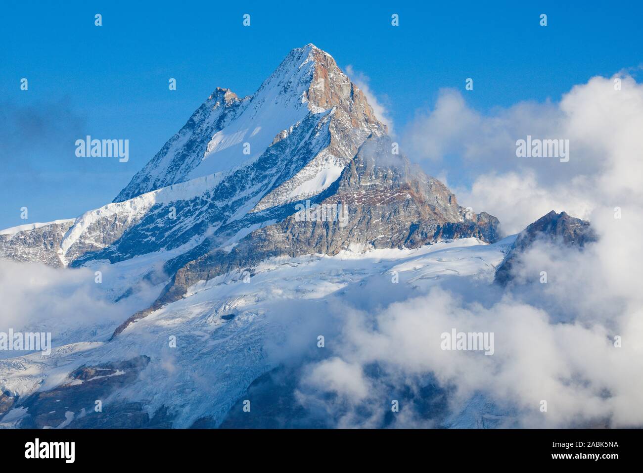 Schweizer Alpen. Der Berg Schreckhorn (4078 m). Berner Alpen, Schweiz Stockfoto