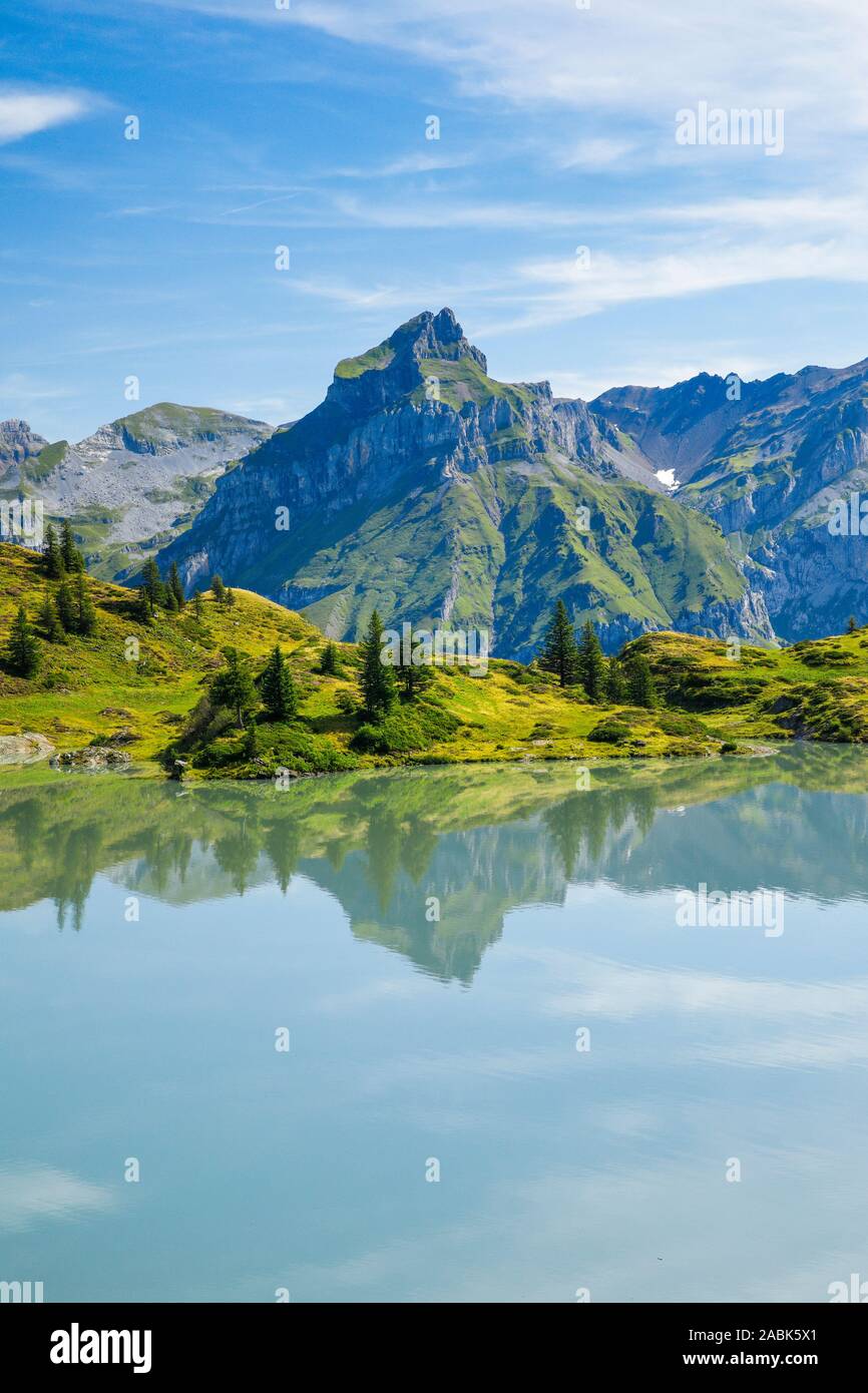 Der Berg Hahnen (2606 m) spiegelt sich in der Truebsee. Obwalden, Schweiz Stockfoto