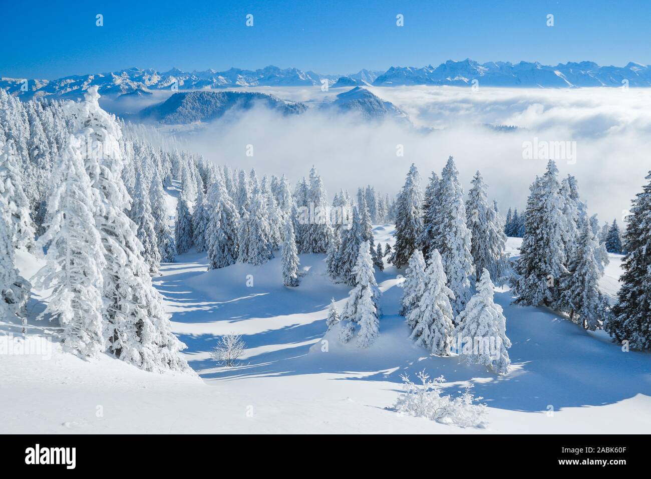 Ausblick von der Rigi im Winter. Schwyz, Schweiz. Stockfoto