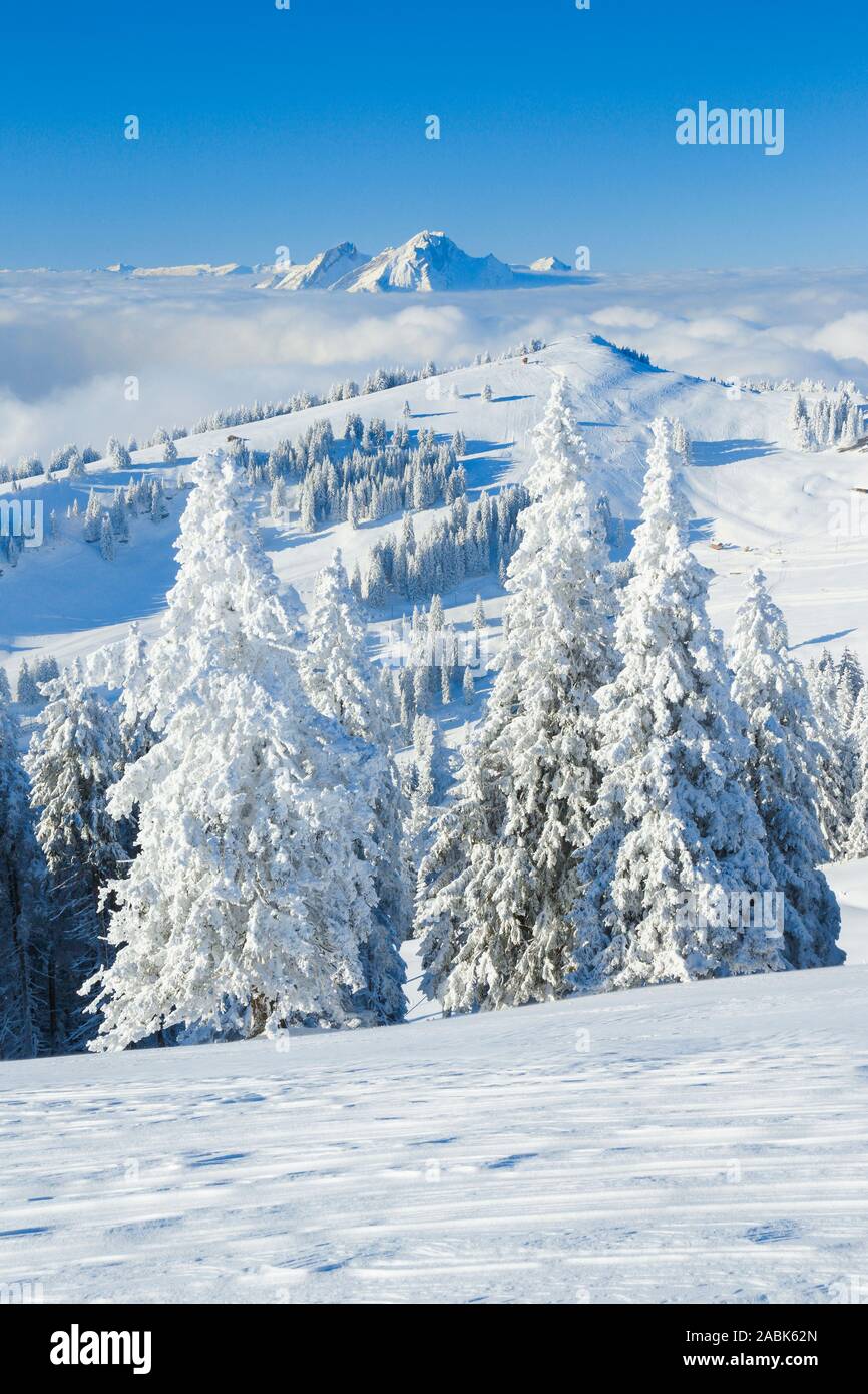 Ausblick von der Rigi zum Berg Pilatus im Winter. Schwyz, Schweiz. Stockfoto