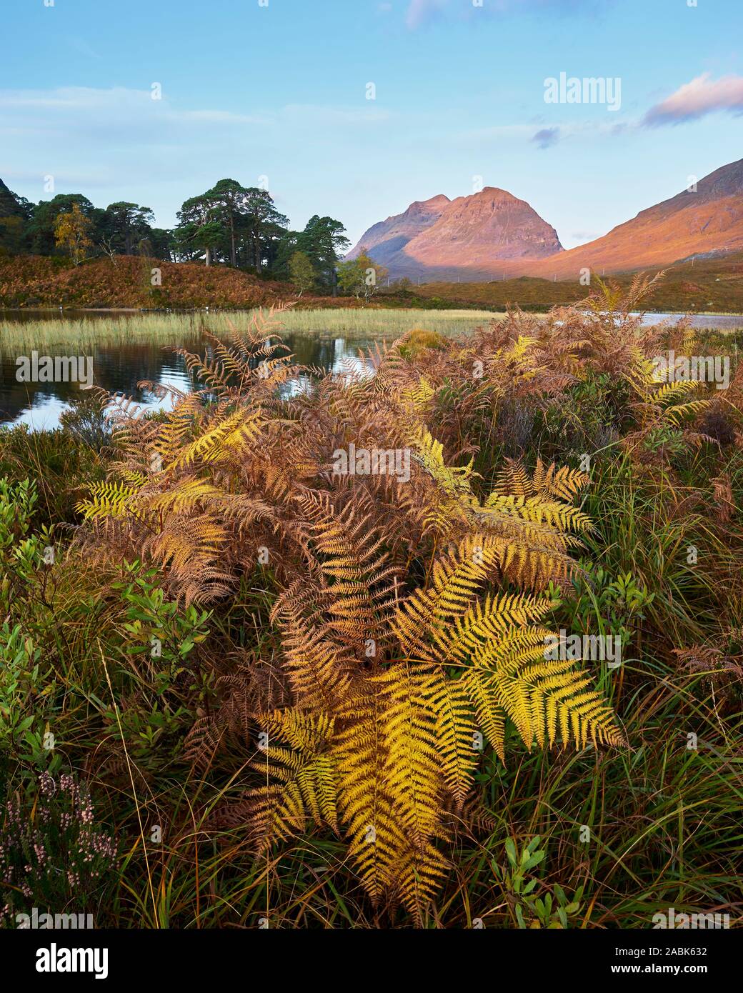 Liathach vom Loch Clair im Herbst, Torridon, Wester Ross, Highland, Schottland Stockfoto
