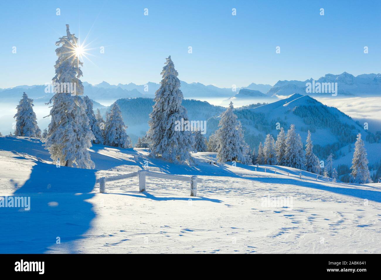 Ausblick von der Rigi im Winter. Schwyz, Schweiz. Stockfoto