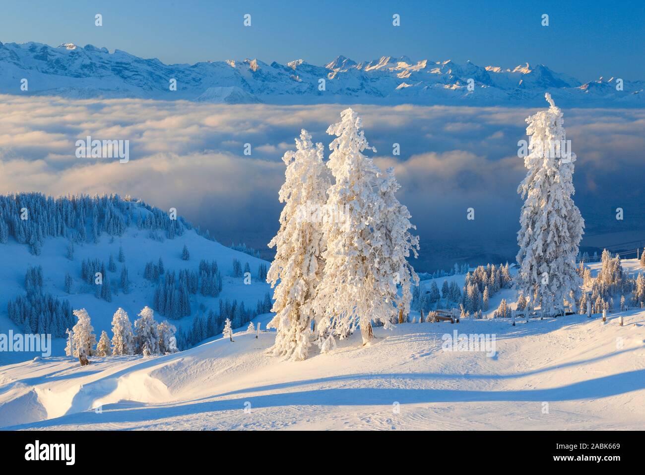 Ausblick von der Rigi im Winter. Schwyz, Schweiz. Stockfoto