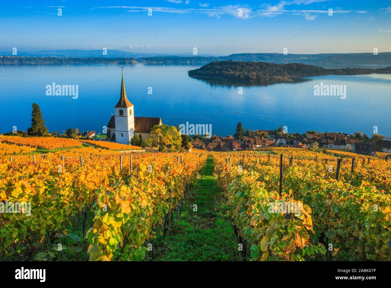 Kirche und Weinbergen am Dorf Ligerz am Bielersee im Herbst. Bern, Schweiz Stockfoto