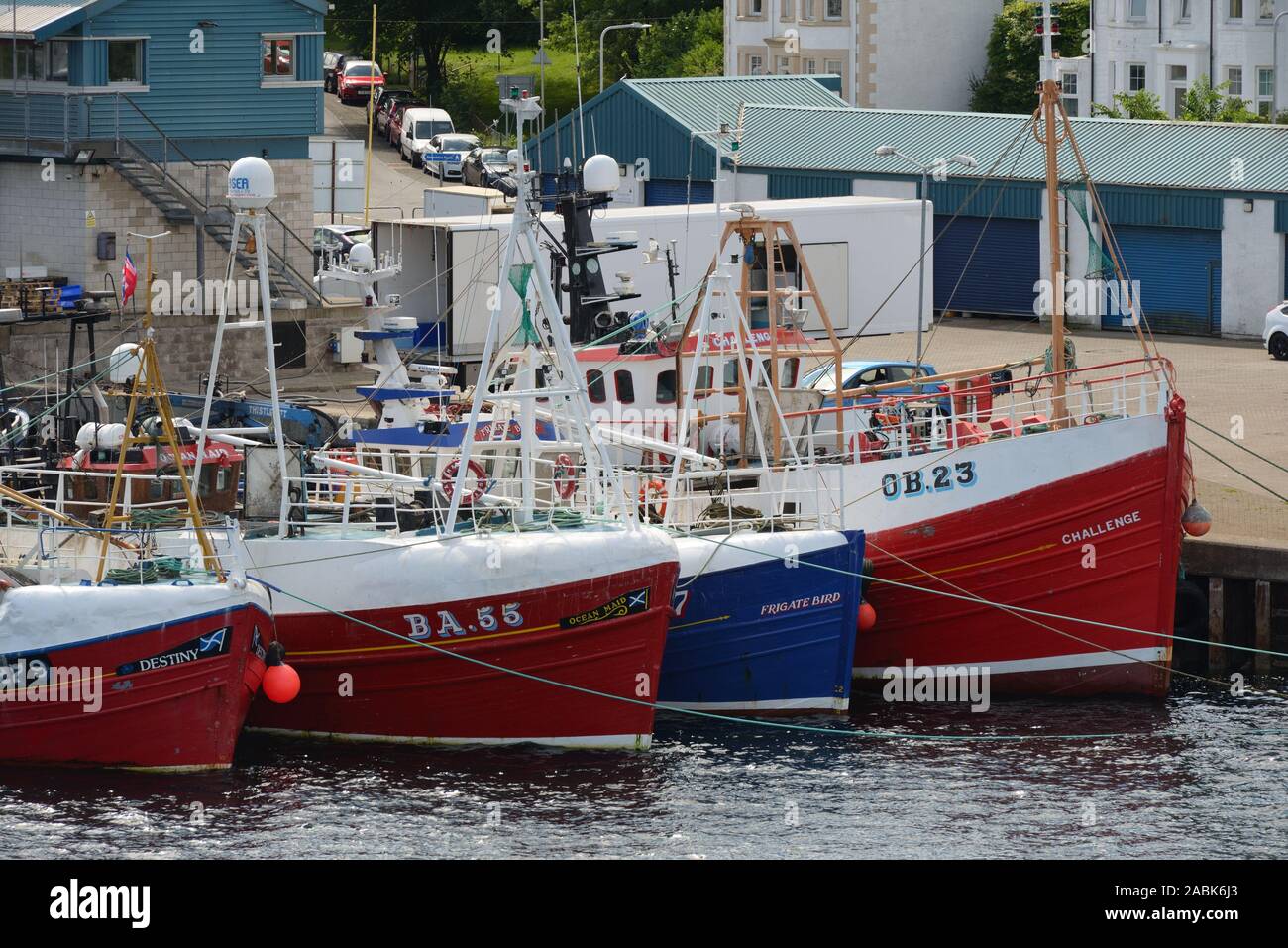 Fischerboote gebunden an einer Pier in Oban, Argyle, Schottland, Großbritannien, Europa Stockfoto