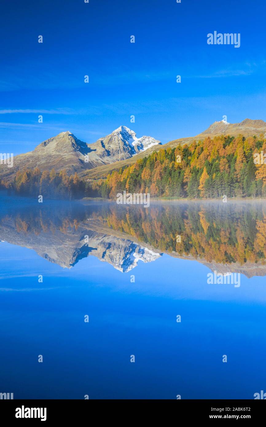 Der Piz Albaba und der Piz Julier spiegeln sich in den See von Staz (Lej da STAZ). Oberengadin, Graubünden, Schweiz. Stockfoto