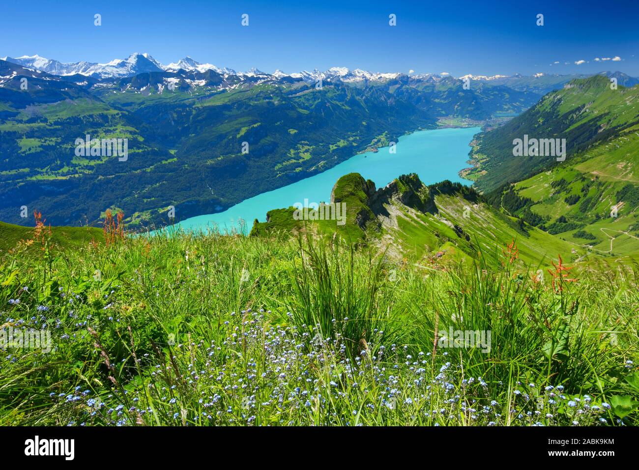 Blick vom Brienzer Rothorn auf den Brienzersee. Emmentaler Alpen, Schweiz Stockfoto