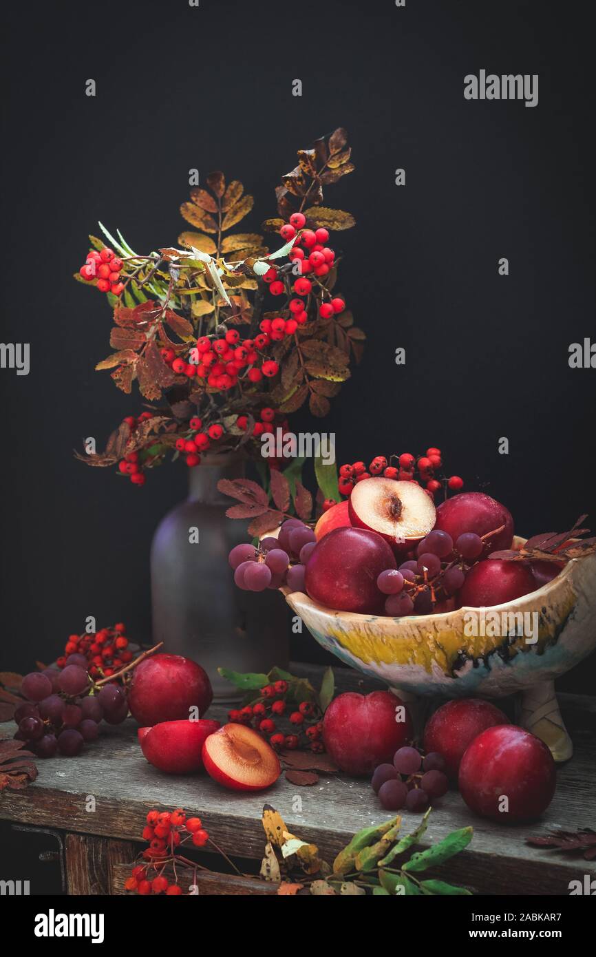 Herbst noch Leben mit Pflaumen und Vogelbeeren auf einem rustikalen Tisch auf einem dunklen Hintergrund. Düstere Stimmung fallen Zusammensetzung Stockfoto