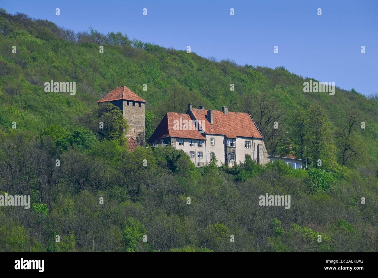 Burg Schaumburg, Rinteln, Weserbergland, Niedersachsen, Deutschland Stockfoto