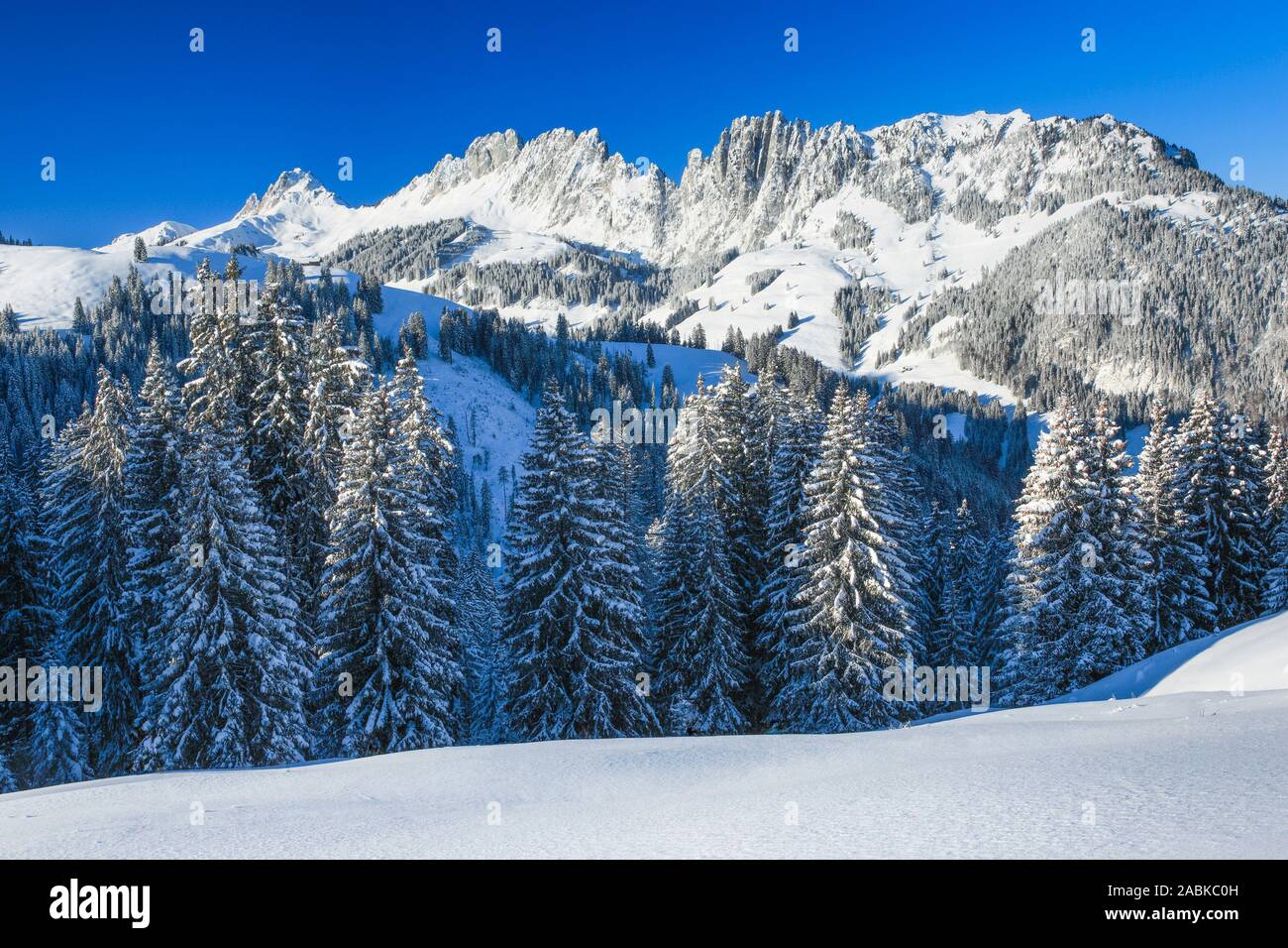 Die bergkette Gastlosen. Schweizer Voralpen, Schweiz Stockfoto