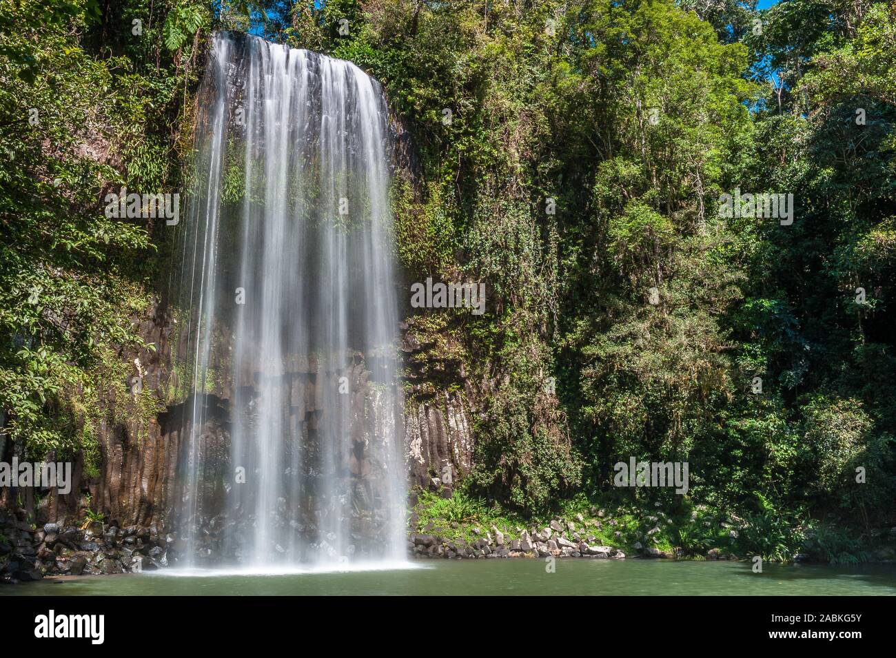 Tauchen Sie ein Wasserfall bei Milla Milla auf dem Atherton Tableland in Queensland, Australien. Stockfoto