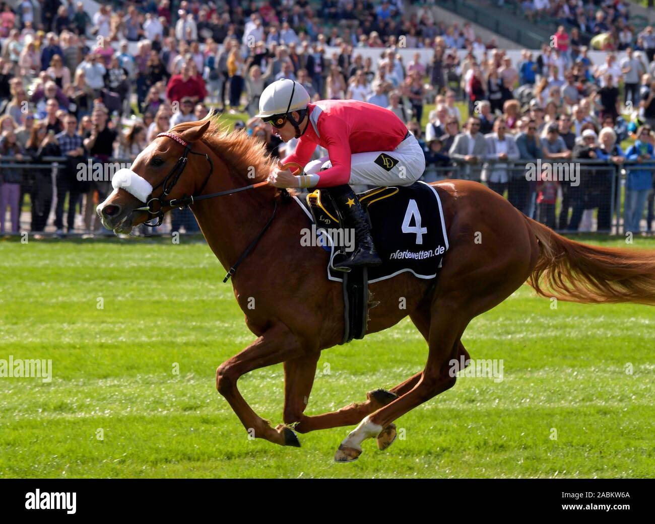 Jockey Lukas Deloizer auf Hengst 'Django Freeman' an der 'Bayerischen Classic' Galopp Rennen auf der Pferderennbahn in München Riem. [Automatisierte Übersetzung] Stockfoto