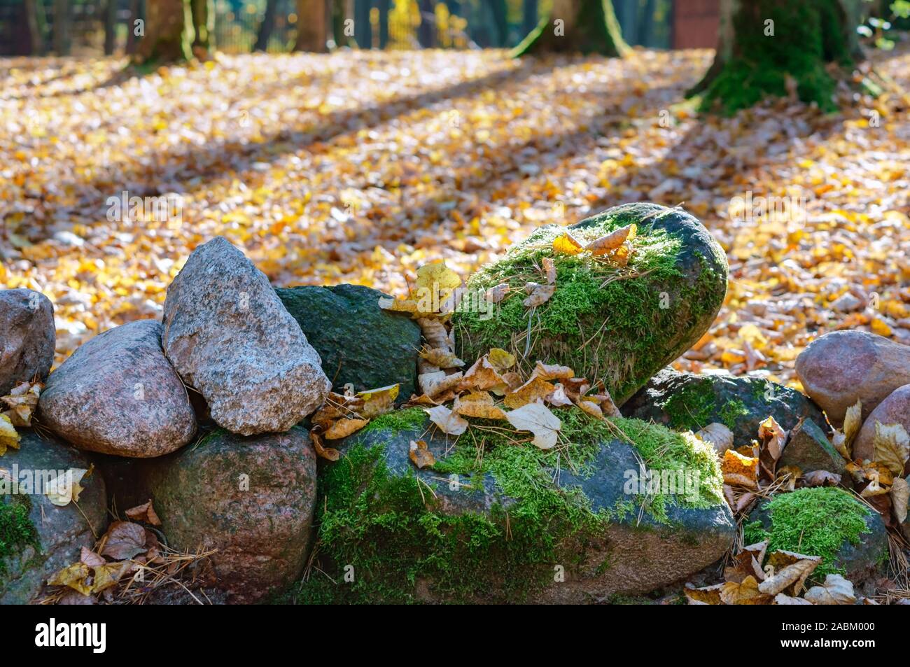 Steinen bedeckt mit Moos, Flechten auf den Steinen im Wald Stockfoto