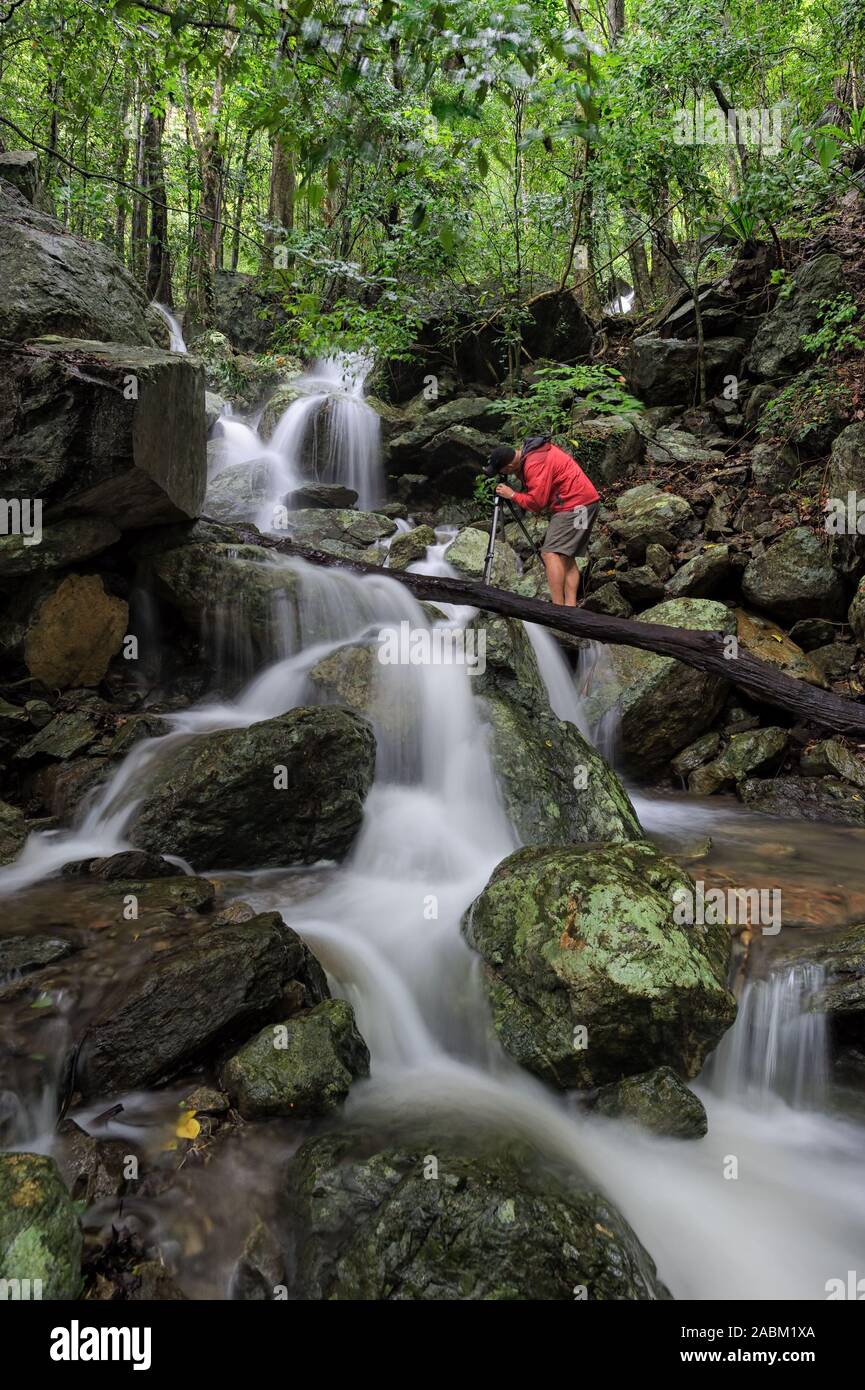 Fotograf stehen auf umgefallene Baum über einen tropischen Regenwald Wasserfall. Stockfoto
