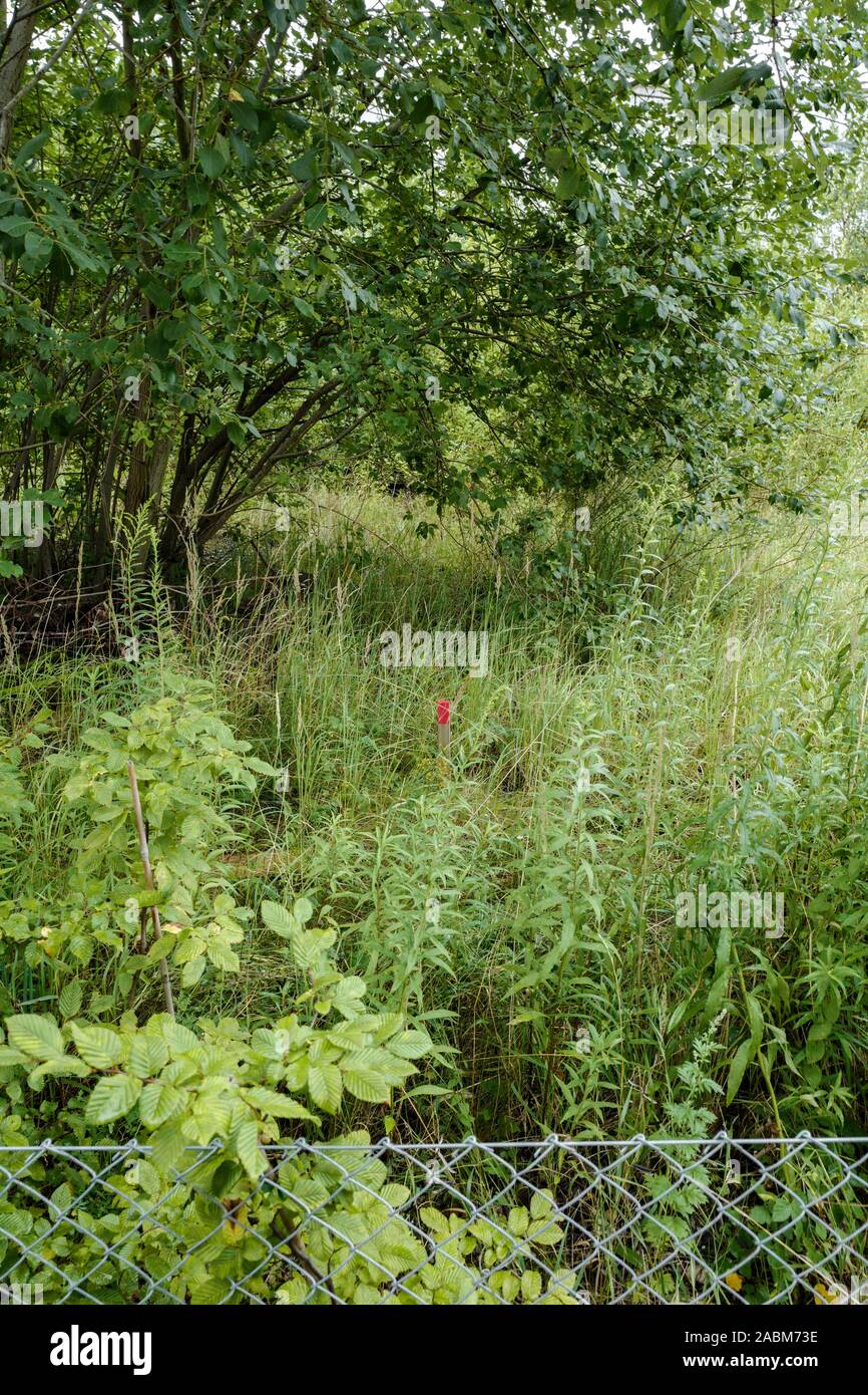 Eine dicht bewachsene Blumenwiese in Munich-Trudering, die ein wenig Platz im Zuge der neuen Track Routing von der DB für die truderinger Spange und Dagflinger Kurven geplant verlieren würde. [Automatisierte Übersetzung] Stockfoto