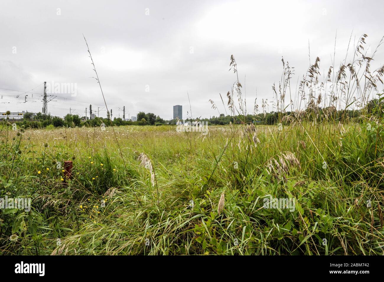 Auf der linken Seite der Gleise in Richtung Berg am Laim Bahnhof und im Hintergrund ist der SV-Hochhaus. Der ESV-Sportplatz ist auf dieser Wiese geplant, dahinter die Bürger der neuen Eisenbahnlinie westlich der Kickers wollen. [Automatisierte Übersetzung] Stockfoto