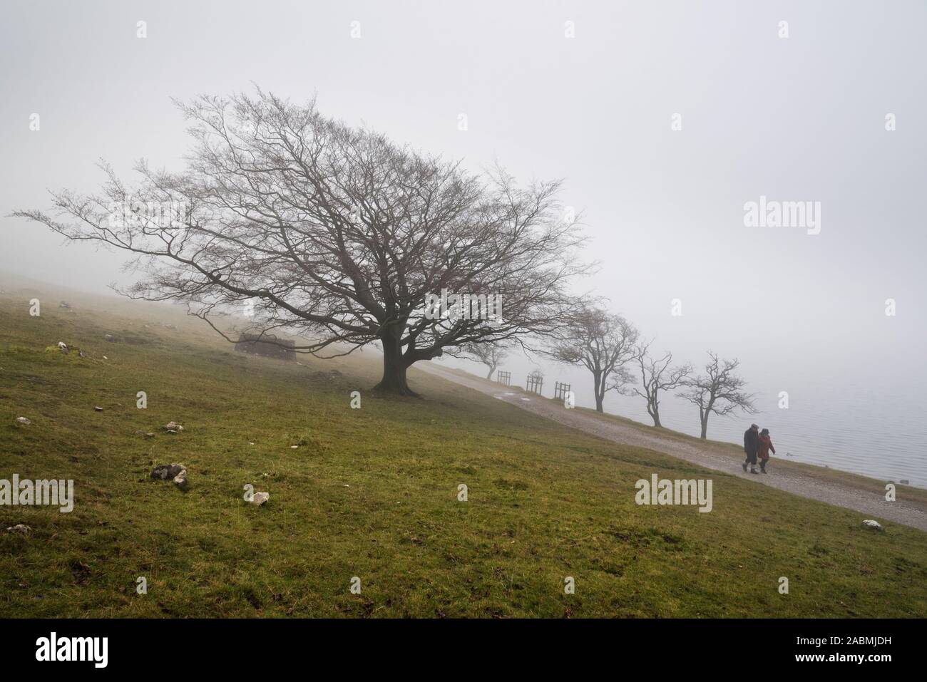 Walker bei Malham Tarn an einem nebligen Herbsttag, Yorkshire Dales National Park, UK. Stockfoto