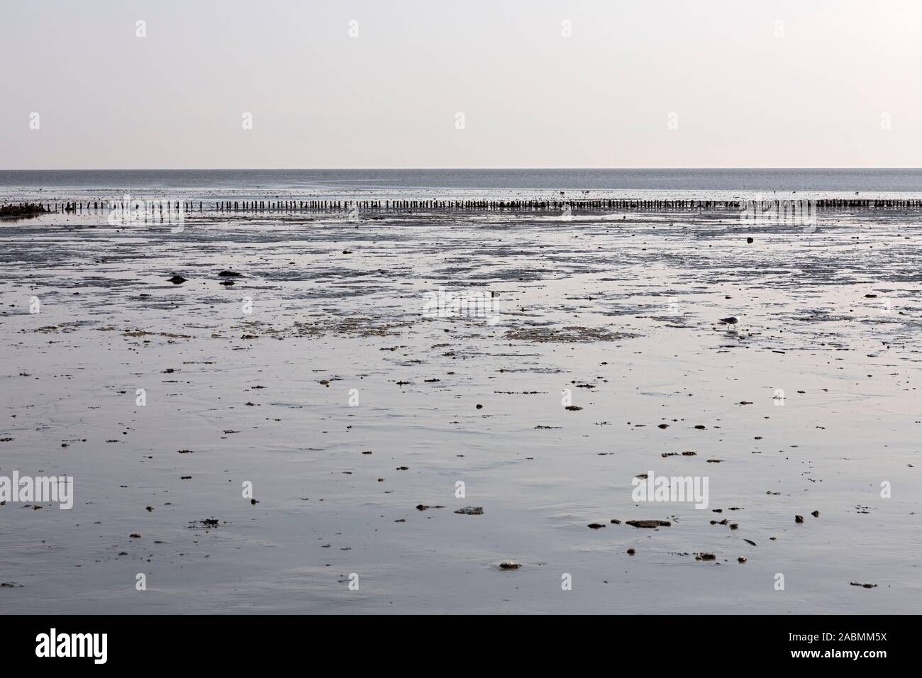 Wattenmeer vor Keitum auf Sylt Stockfoto