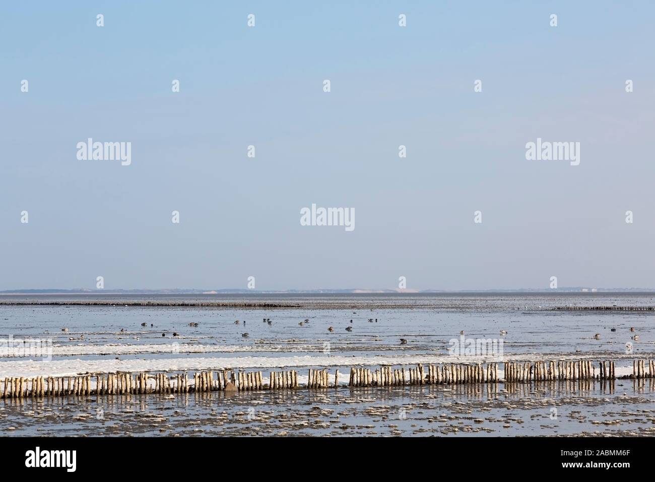 Wattenmeer vor Keitum auf Sylt Stockfoto